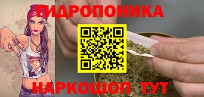индика Берёзовский