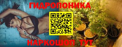 индика Берёзовский