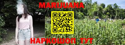 индика Берёзовский