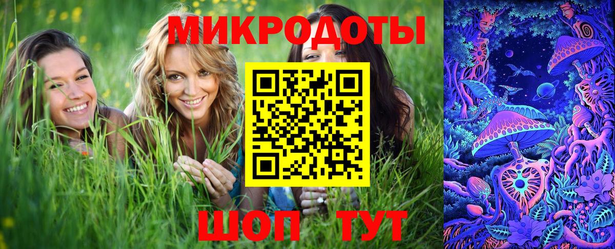 Заволжье  Псилоцибиновые грибы Psilocybine cubensis  Вход с VPN 