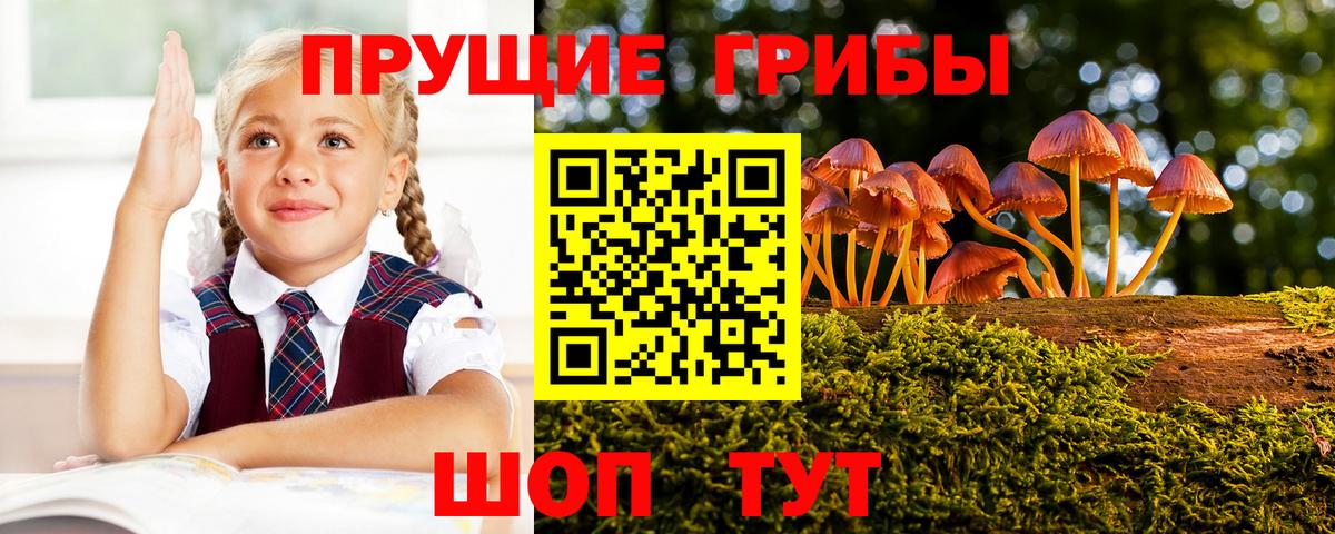 Галлюциногенные грибы MAGIC MUSHROOMS Заволжье